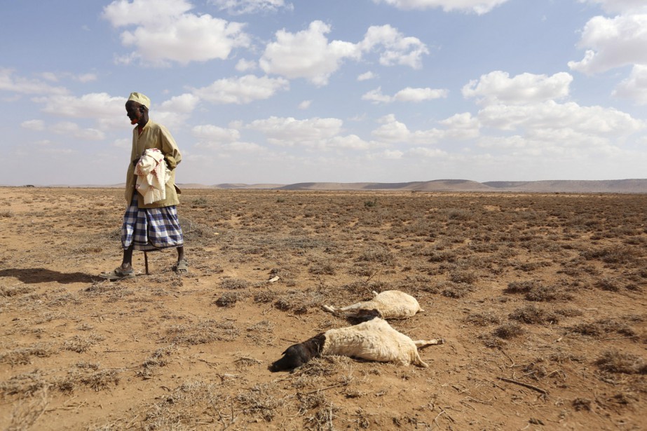 Renforcement de la résilience de l’agriculture en Afrique face au changement climatique la banque mondiale décaisse 60 millions de dollar		