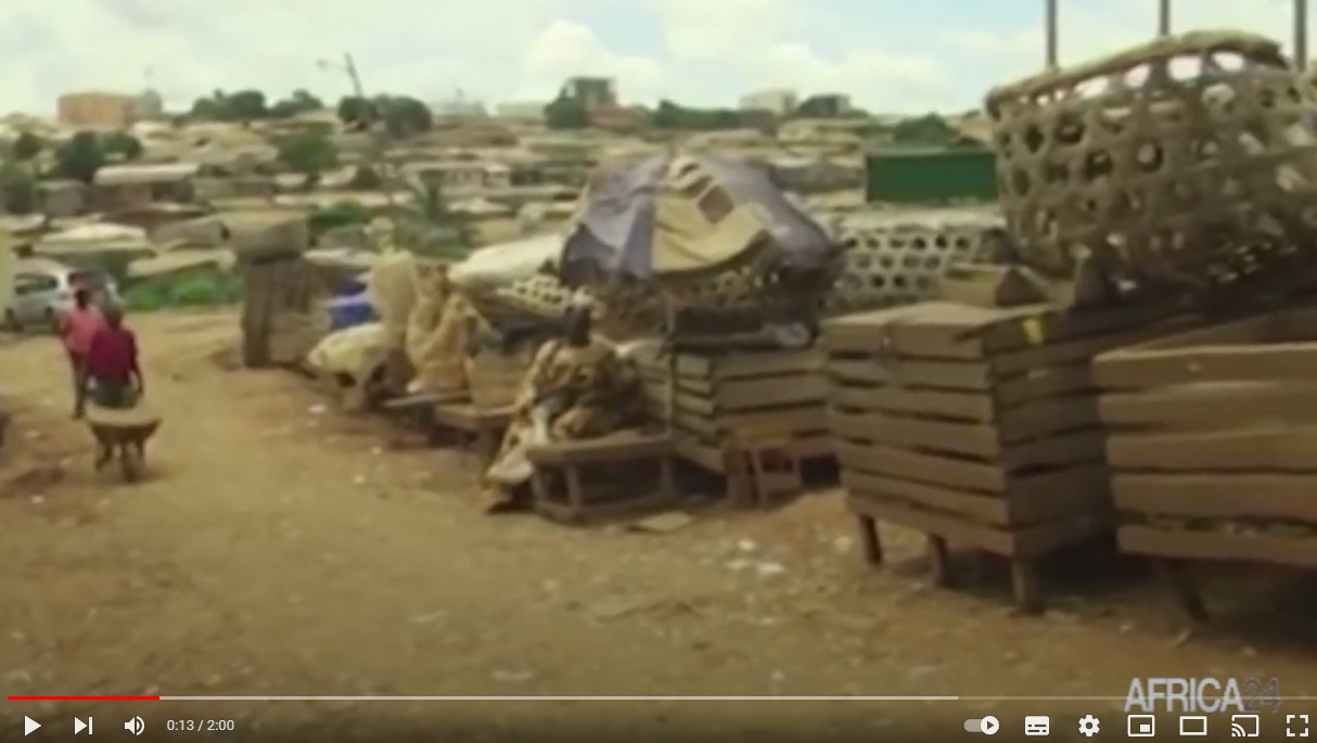 Afrique du Sud : le virus H5N2 détecté dans une ferme de la province du KwaZulu-Natal