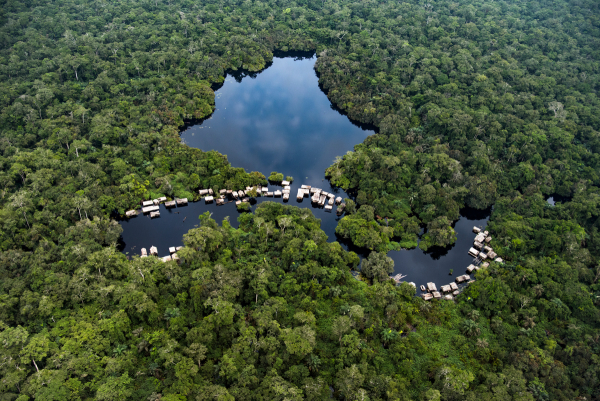 Afrique : 171 millions de tonnes de carbone stockées par an depuis 2014 dans le Bassin du Congo