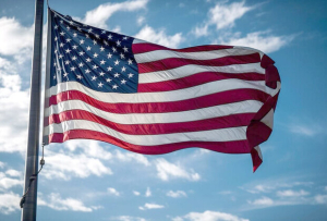 Sanctioning Illicit Networks Engaged in Iranian Petroleum Trade